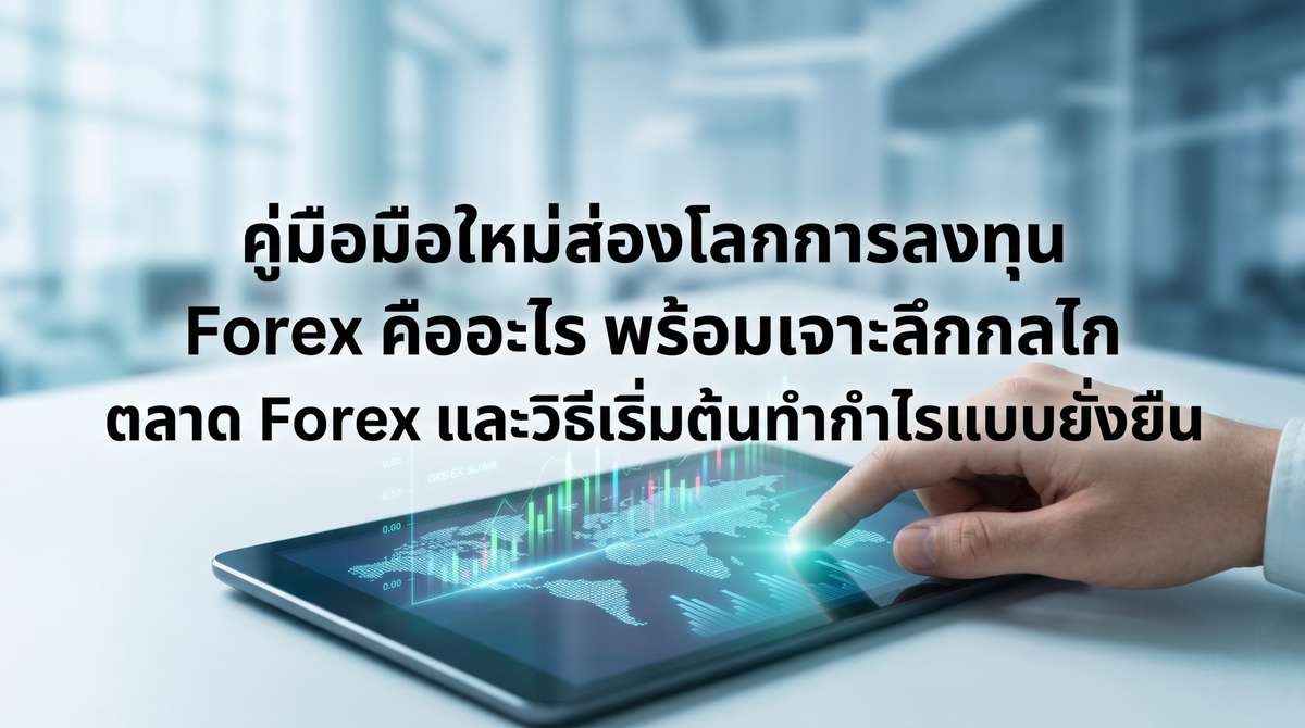 คู่มือมือใหม่ส่องโลกการลงทุน Forex คืออะไร พร้อมเจาะลึกกลไก ตลาด Forex และวิธีเริ่มต้นทำกำไรแบบยั่งยืน